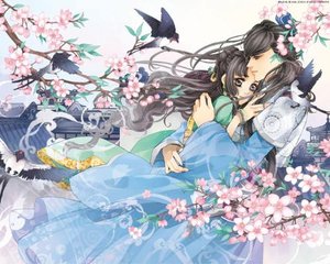 spa精油后阴茎硬了